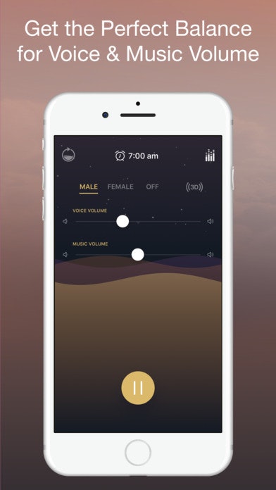 Pzizz 4.0 gallery image