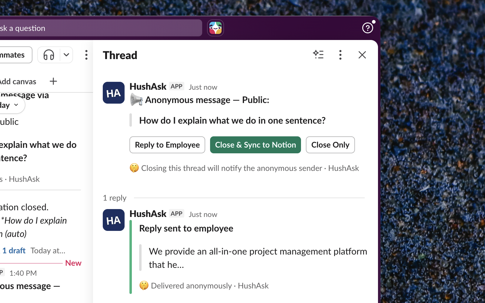 HushAsk gallery image