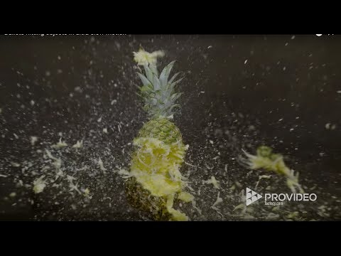 Pro Video Factory gallery image