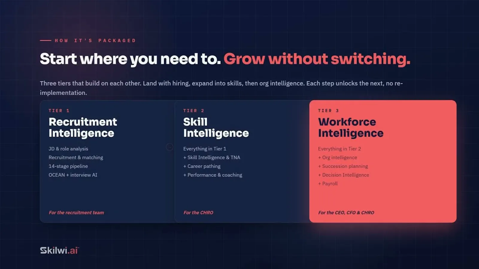 SKILWI.ai screenshot 1 (video preview)