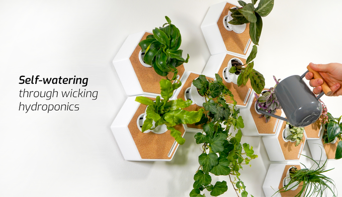 The Noku Canvas gallery image