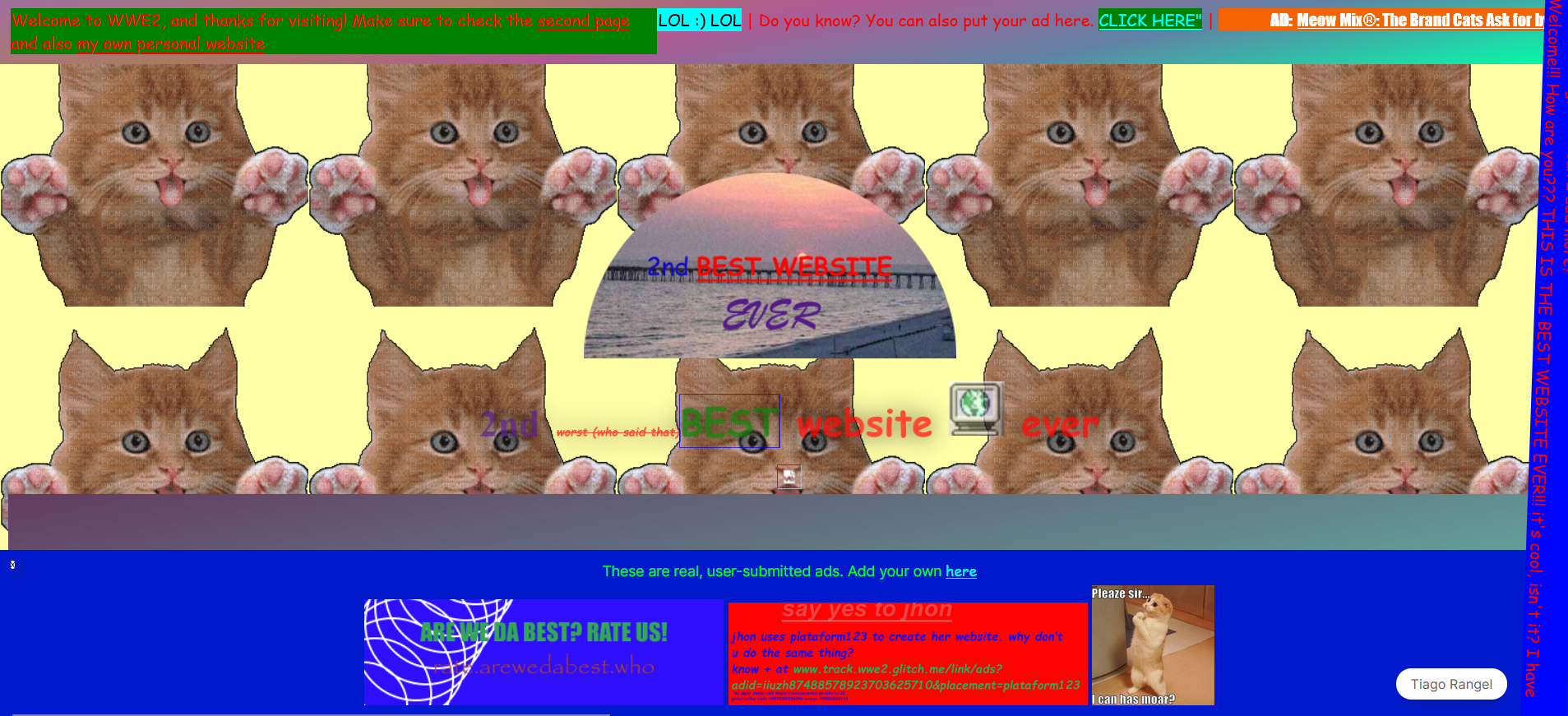 Il peggior sito web di sempre, WWE2 media 3
