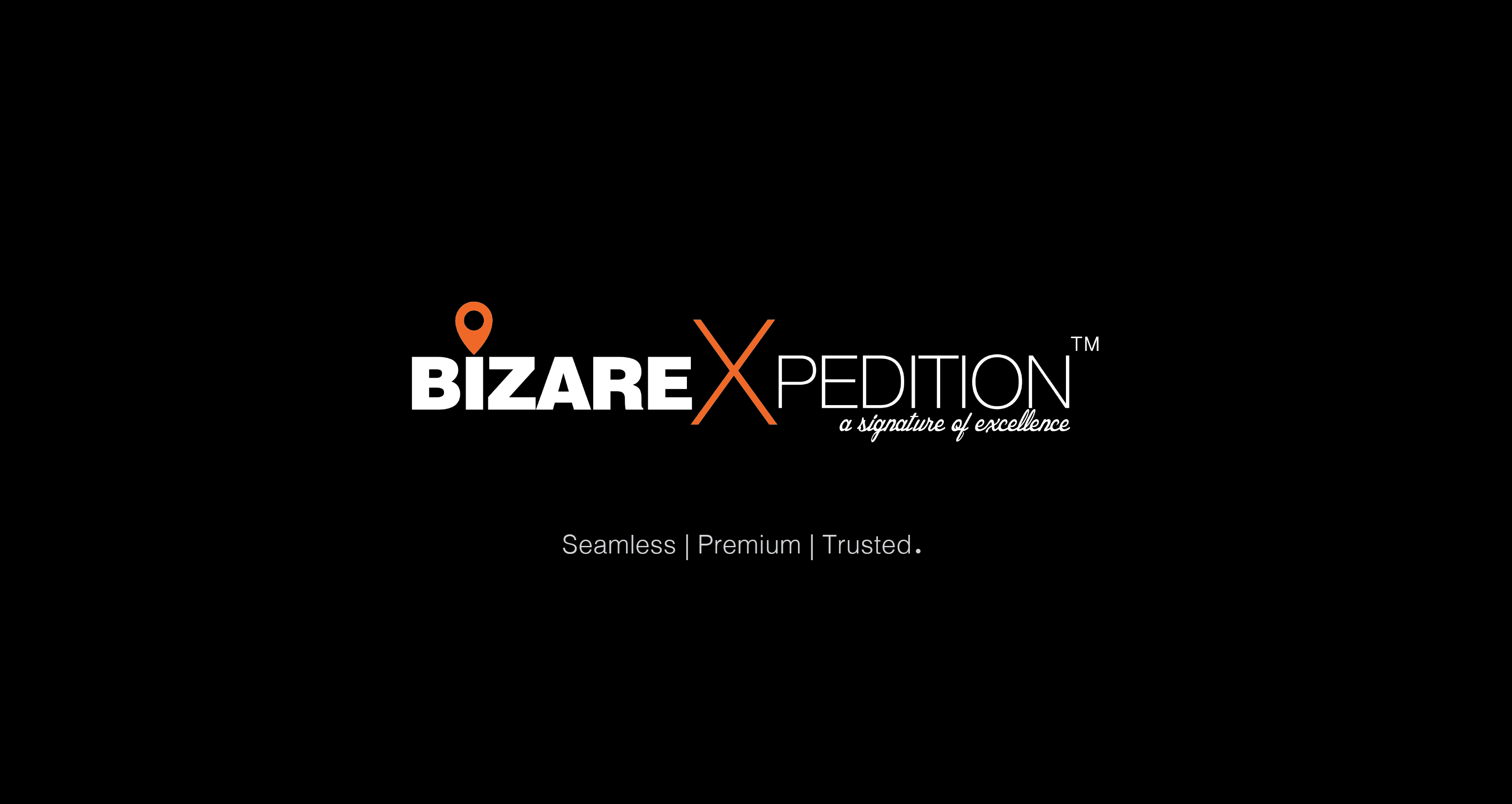 BizareXpedition - Main product screenshot demonstrating key features and user interface