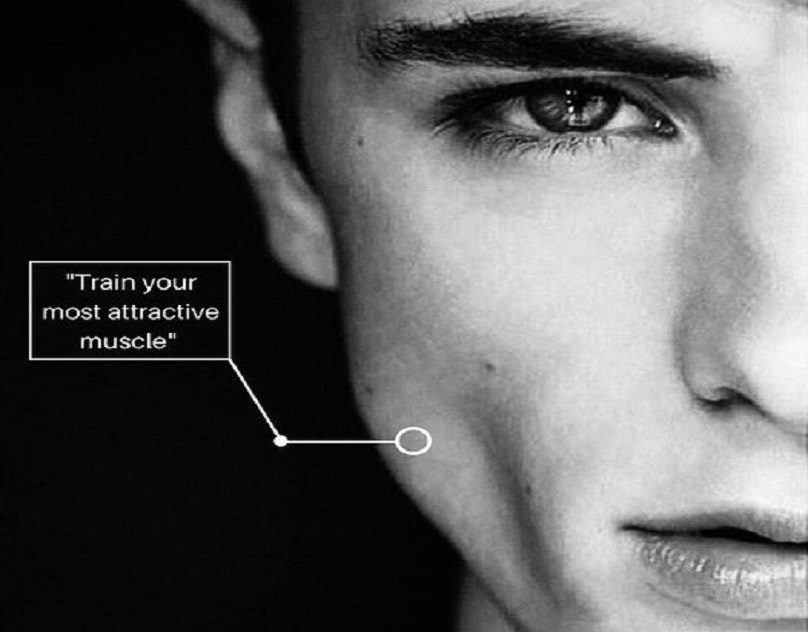 Jawliner 3.0-Expert gallery image