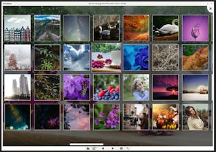 PicView gallery image