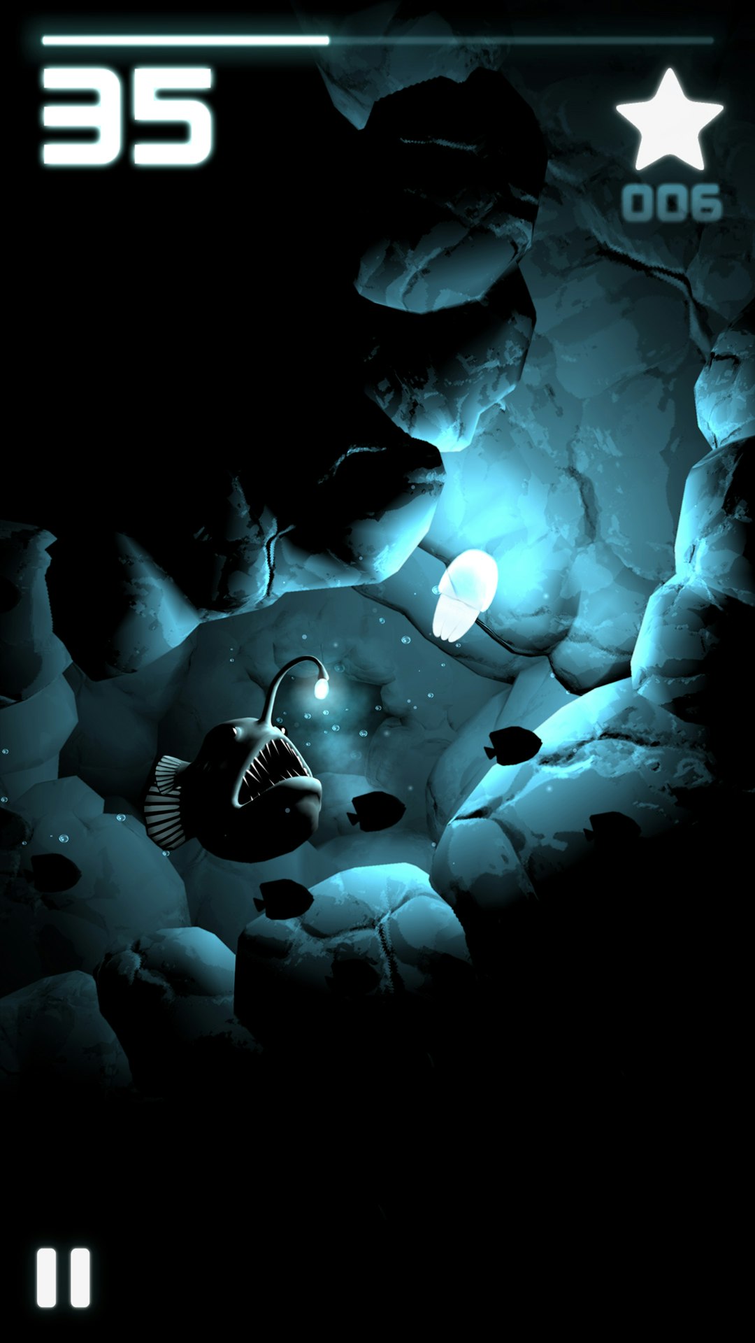 Seashine gallery image