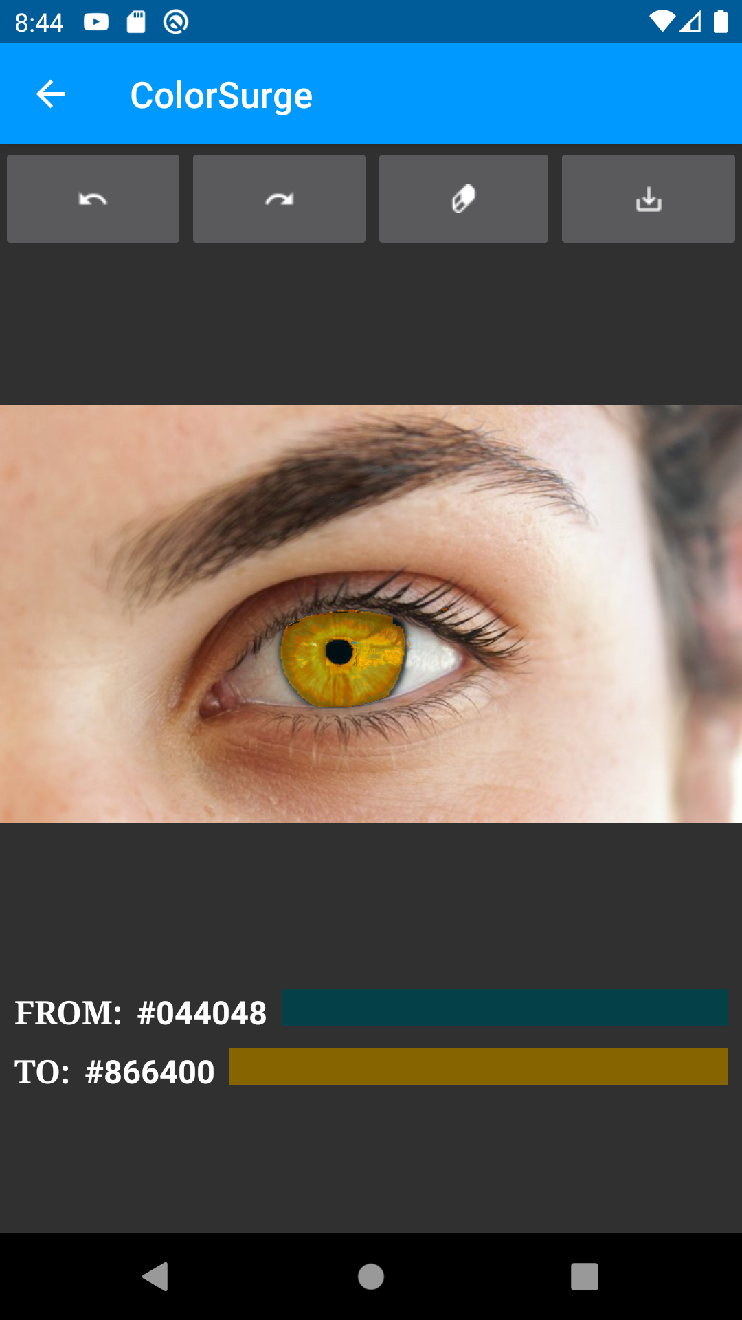ColorSurge - Recolor photos gallery image