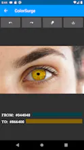 ColorSurge - Recolor photos gallery image