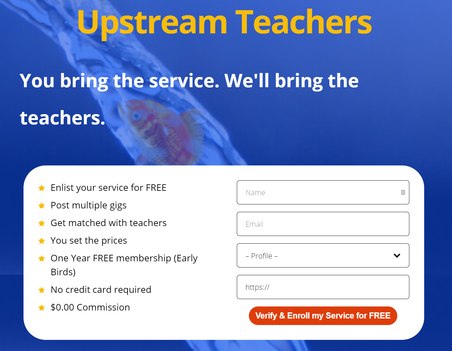 Upstream Teachers gallery image