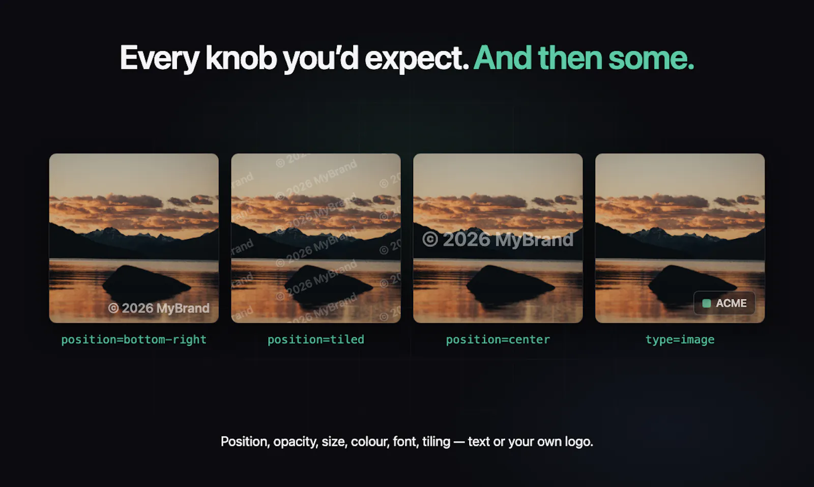 API Watermark screenshot 5