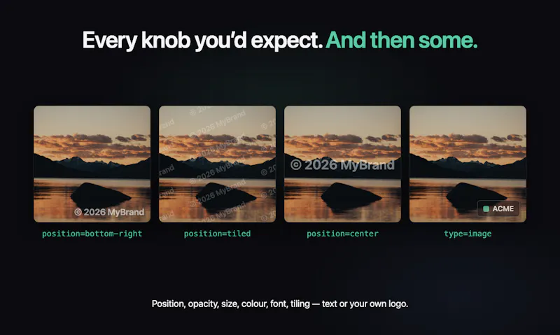 API Watermark screenshot 5