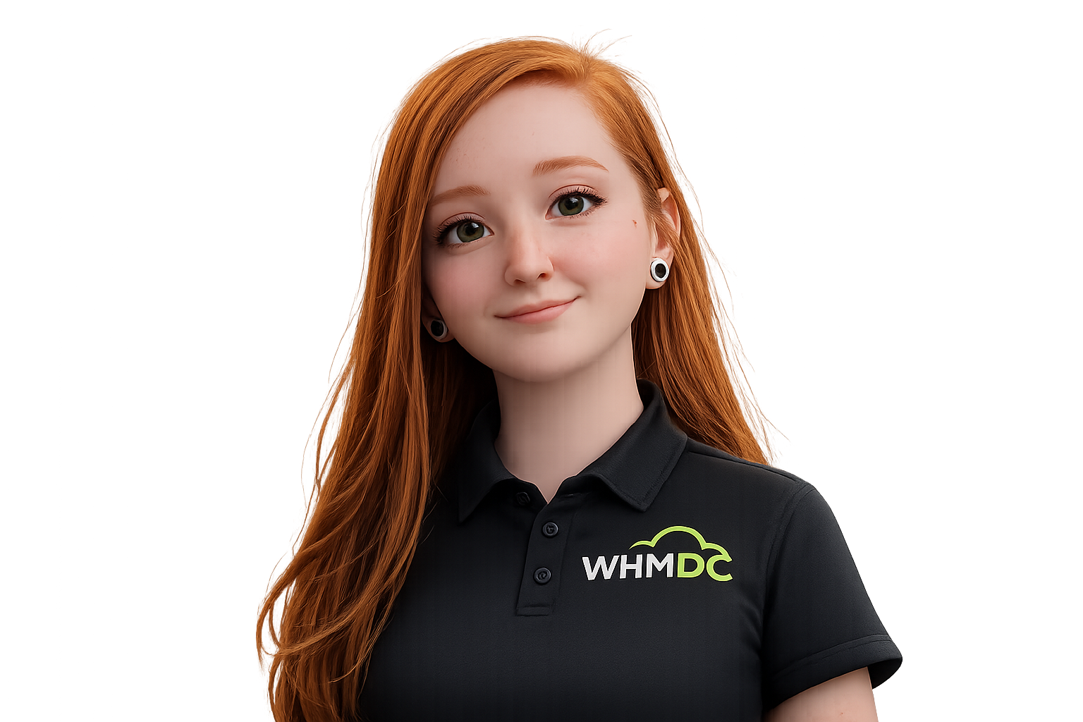WHMDC gallery image