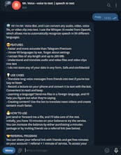 Mr. Voice Bot gallery image