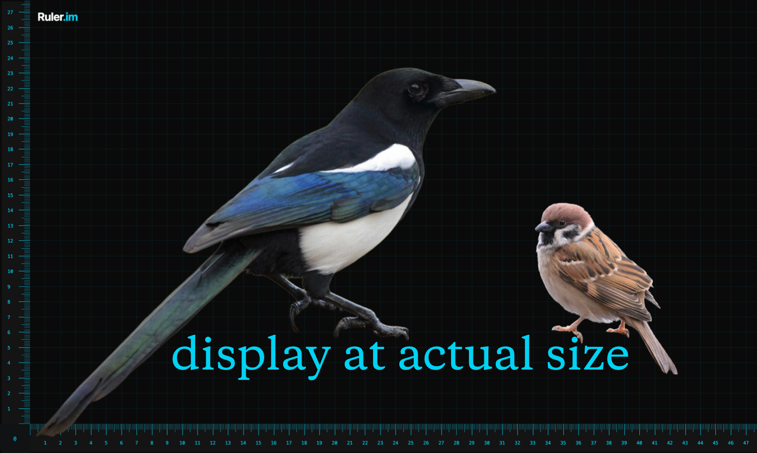 Ruler.im - Main product screenshot demonstrating key features and user interface