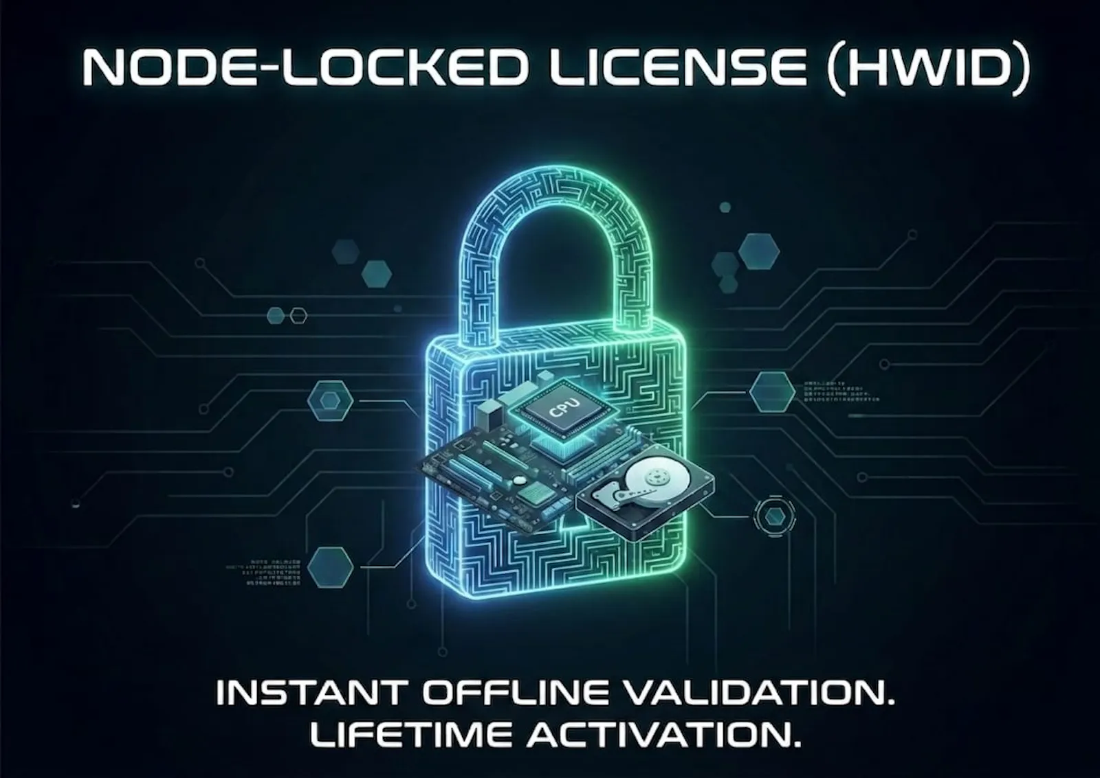 Raysonic Offline Security SDK screenshot 4