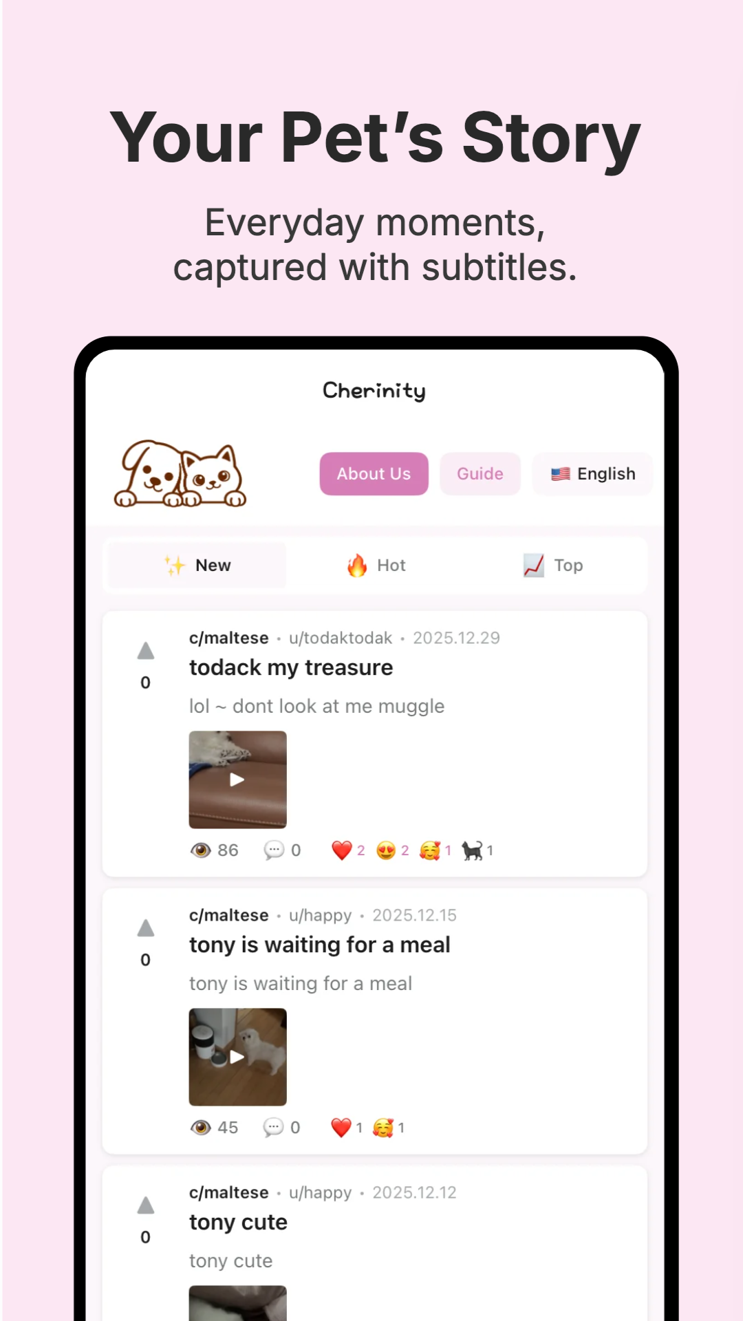 Cherinity - Main product screenshot demonstrating key features and user interface