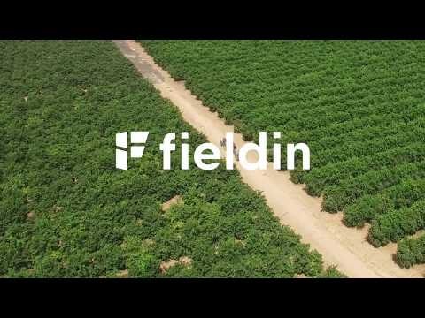 Fieldin gallery image