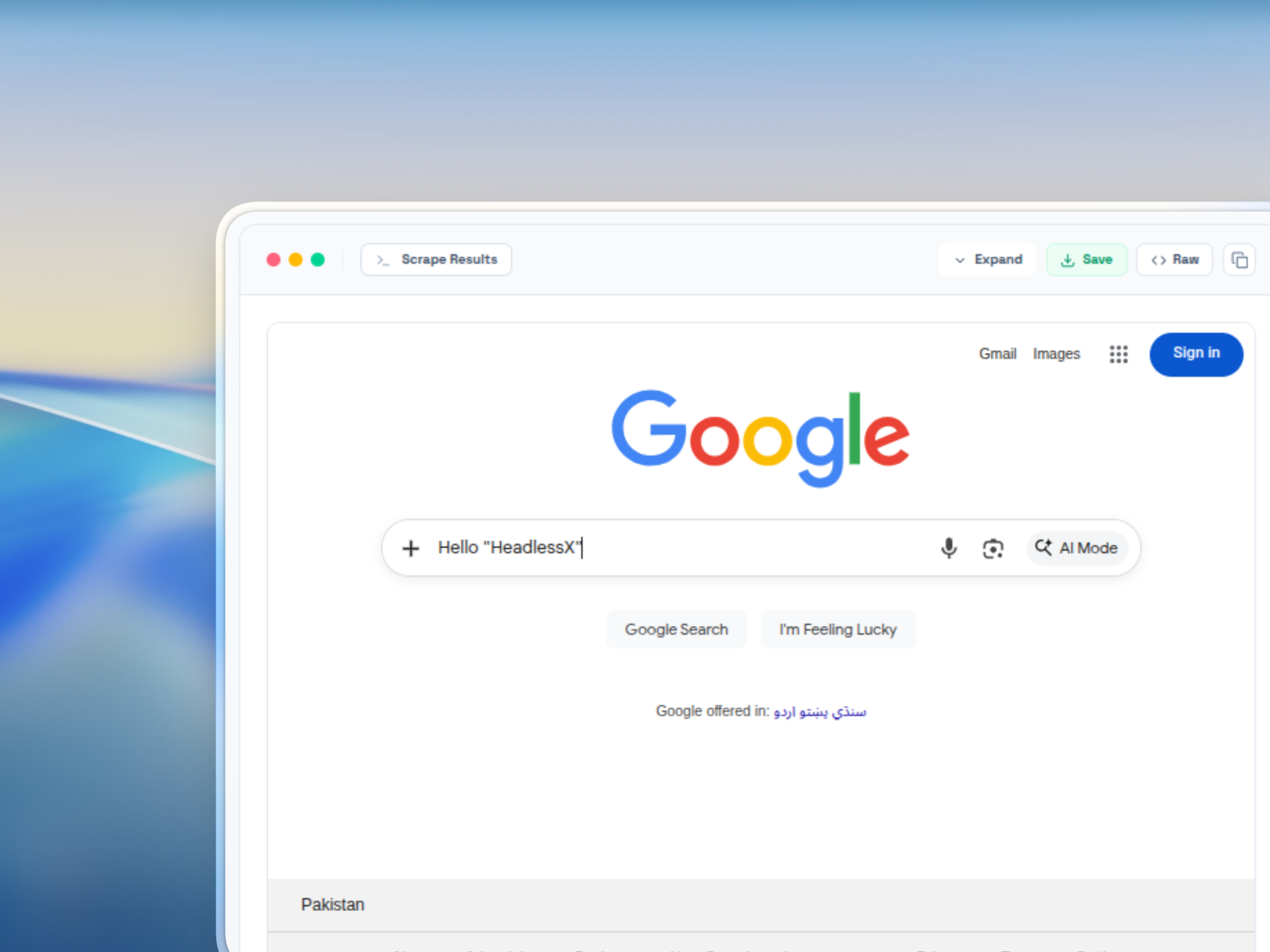 HeadlessX gallery image