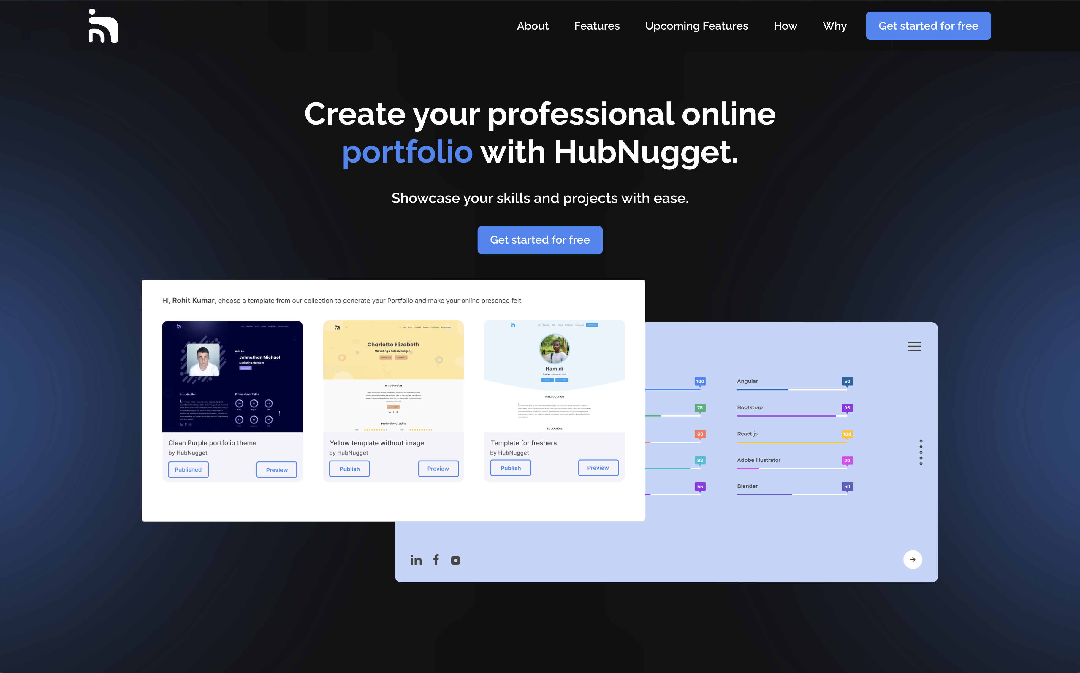 Hubnugget media 1