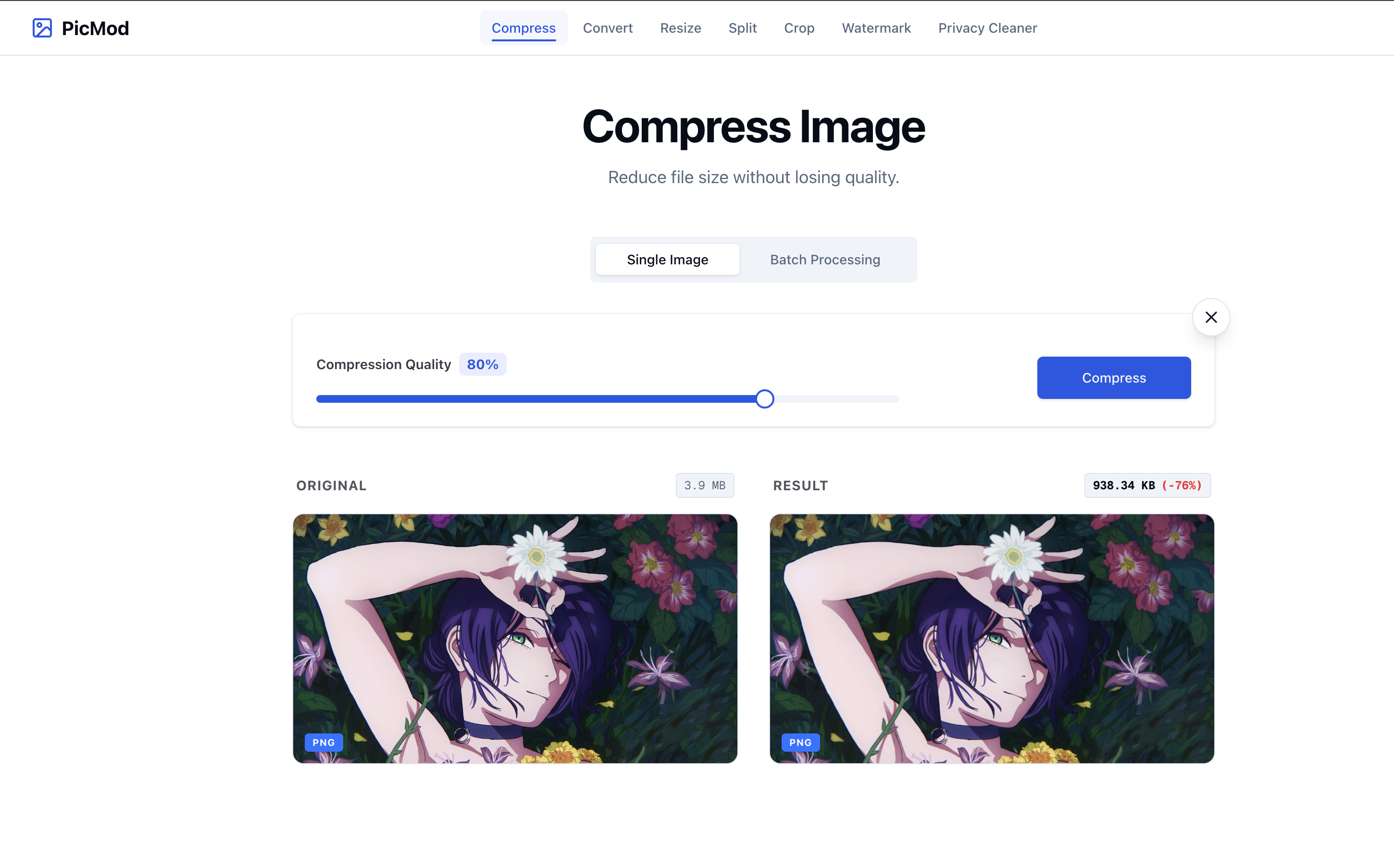 PicMod gallery image