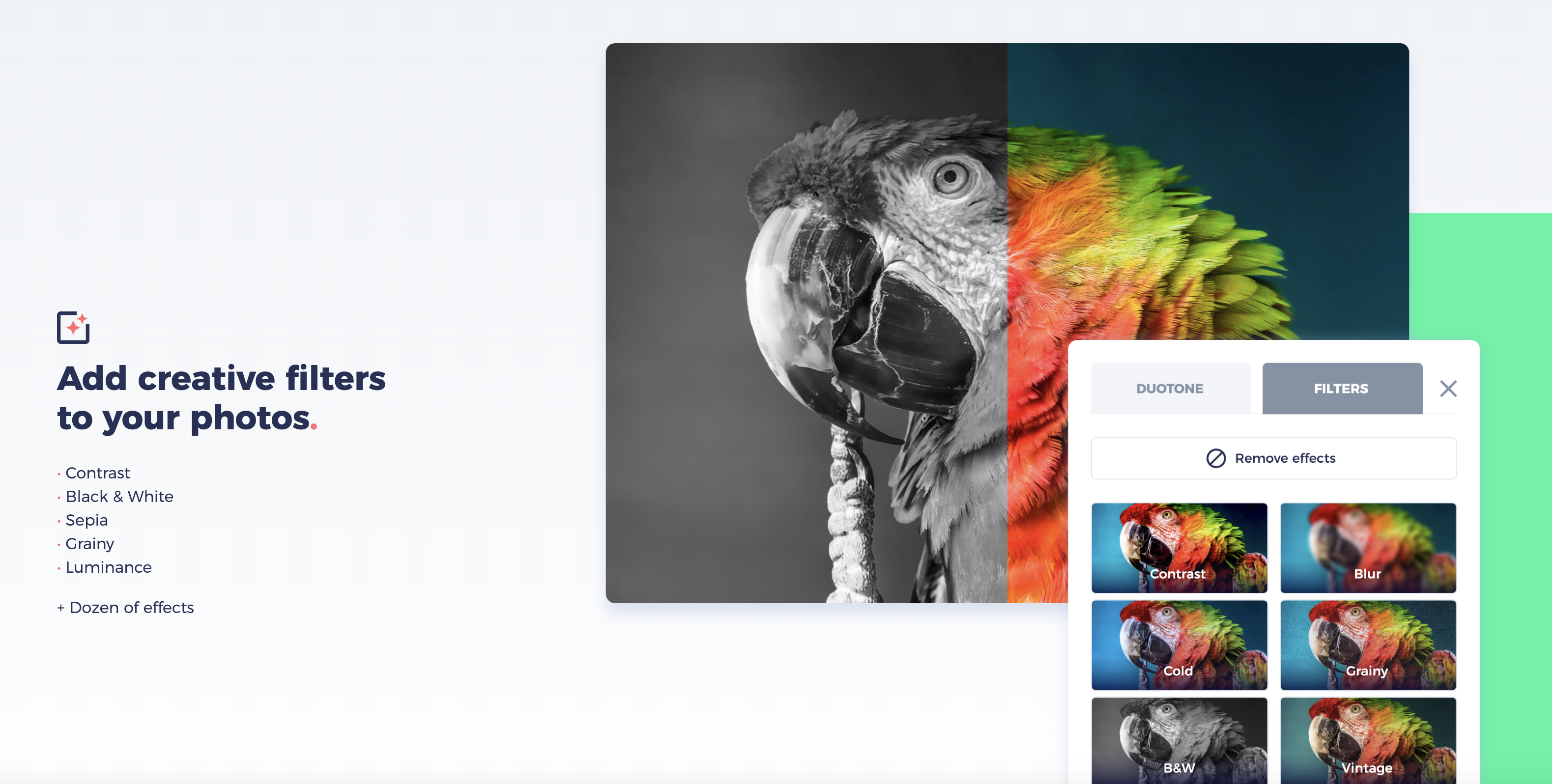 Trakto gallery image