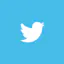 Birdy