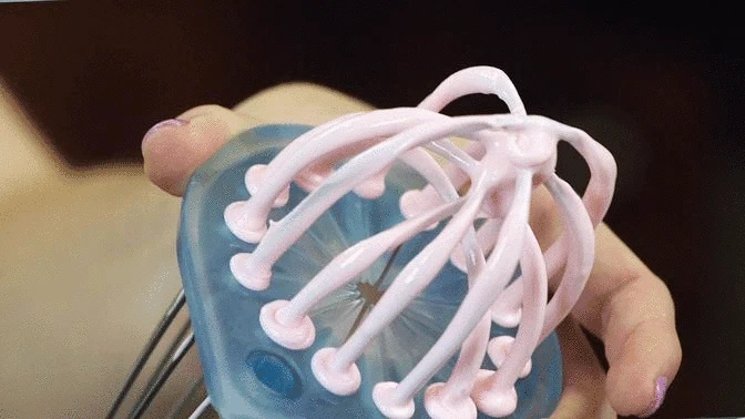 Whisk Wiper