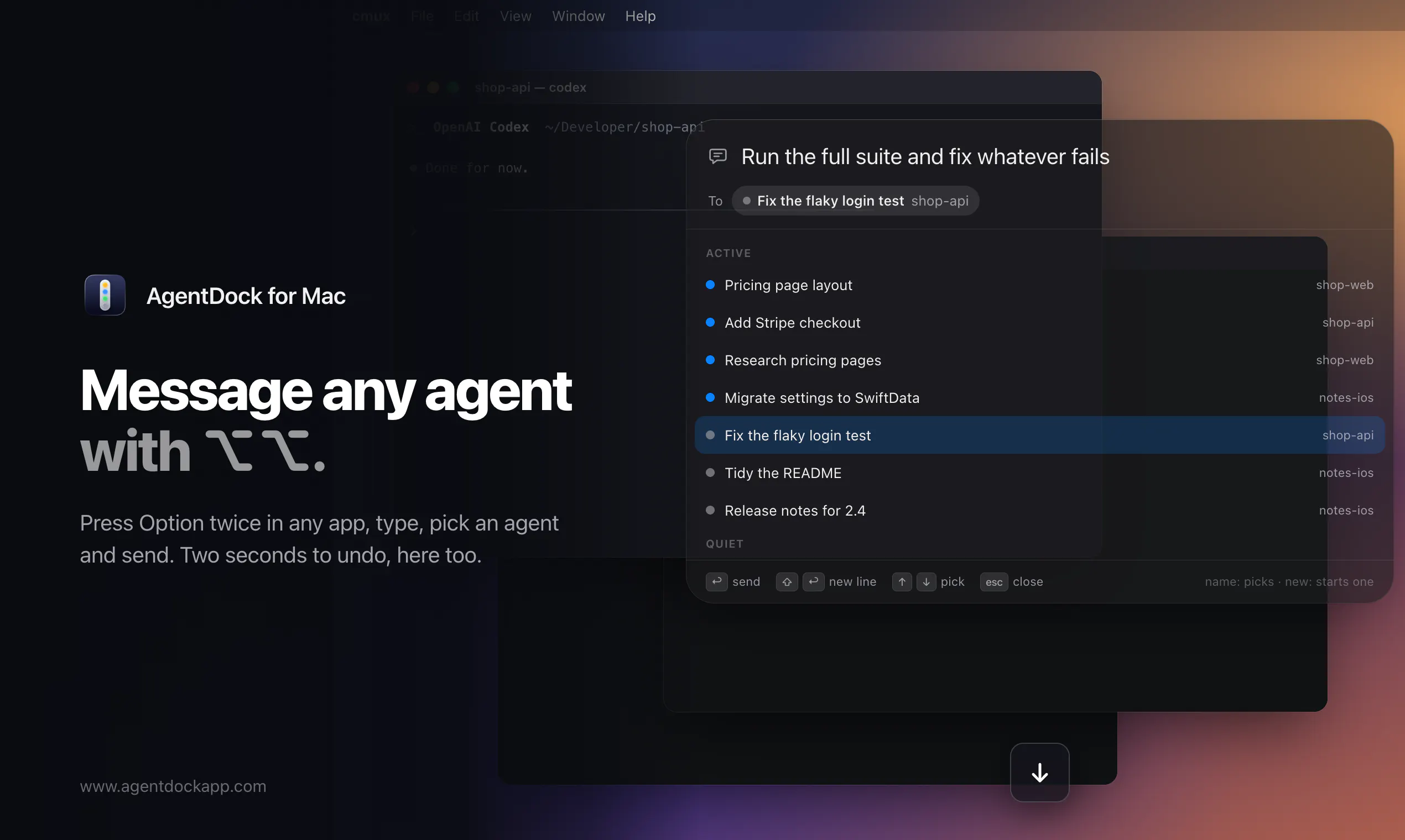 AgentDock gallery image