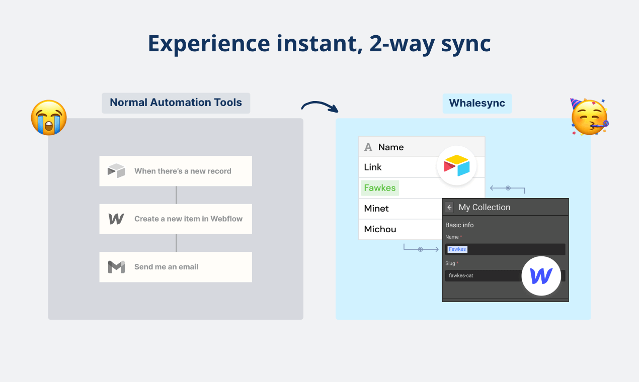 Whalesync media 9
