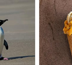 New Dreamstime AI Stock Photos For Work! gallery image