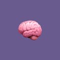 The Design Quiz