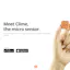 Clime