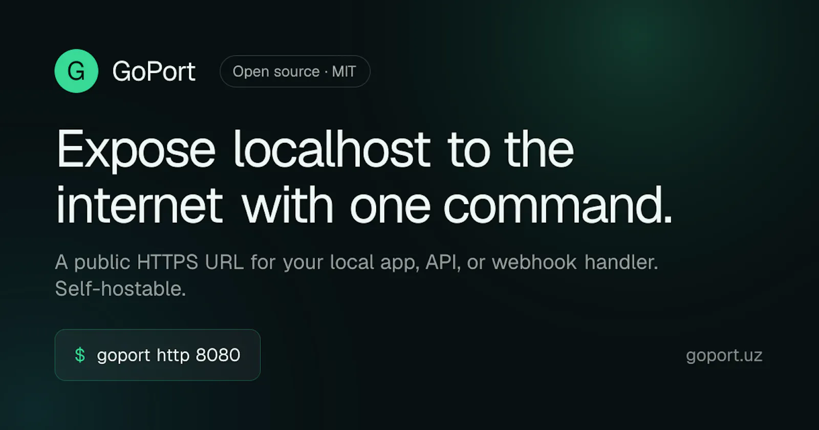 GoPort screenshot 1