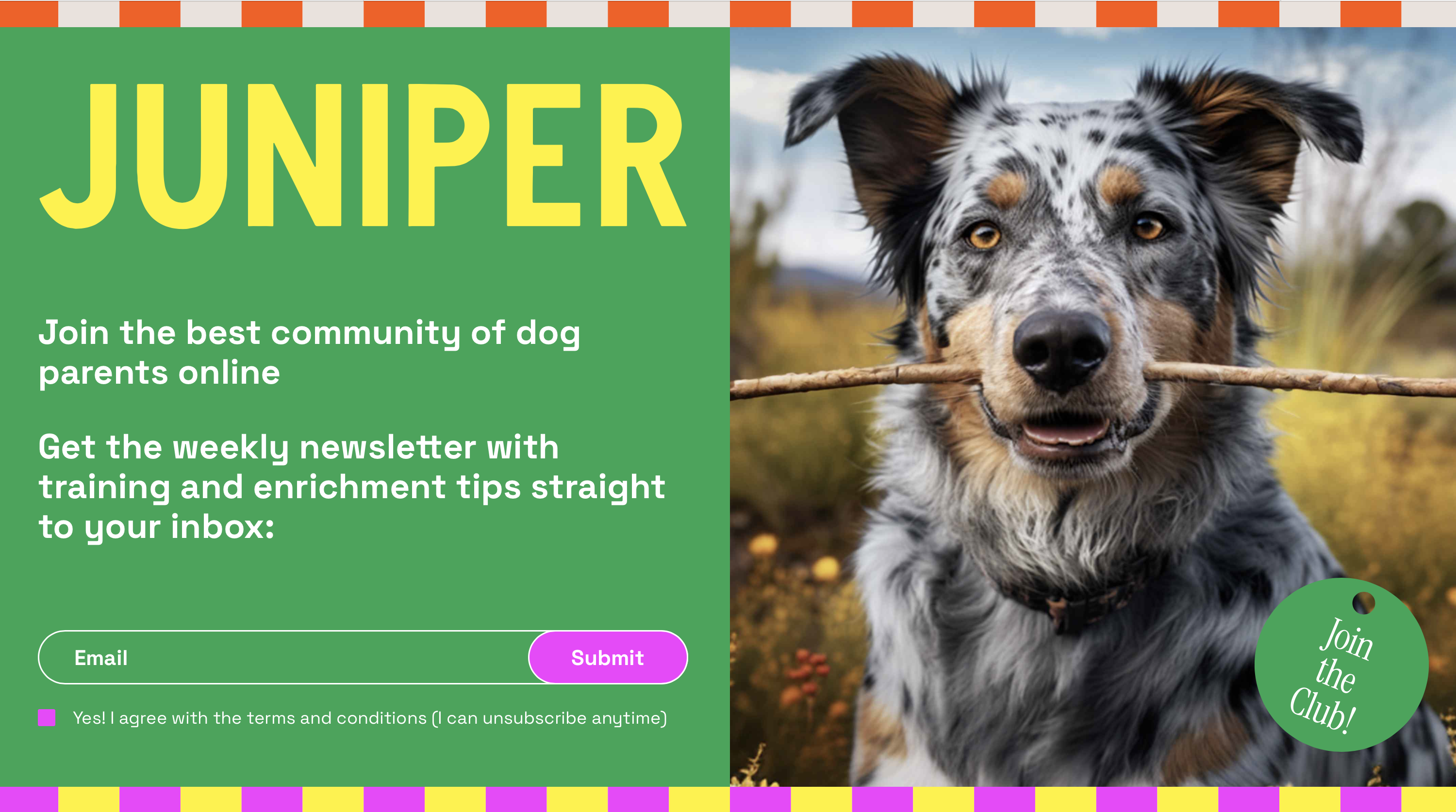 startuptile Juniper-A website and community for genz + millennial dog parents