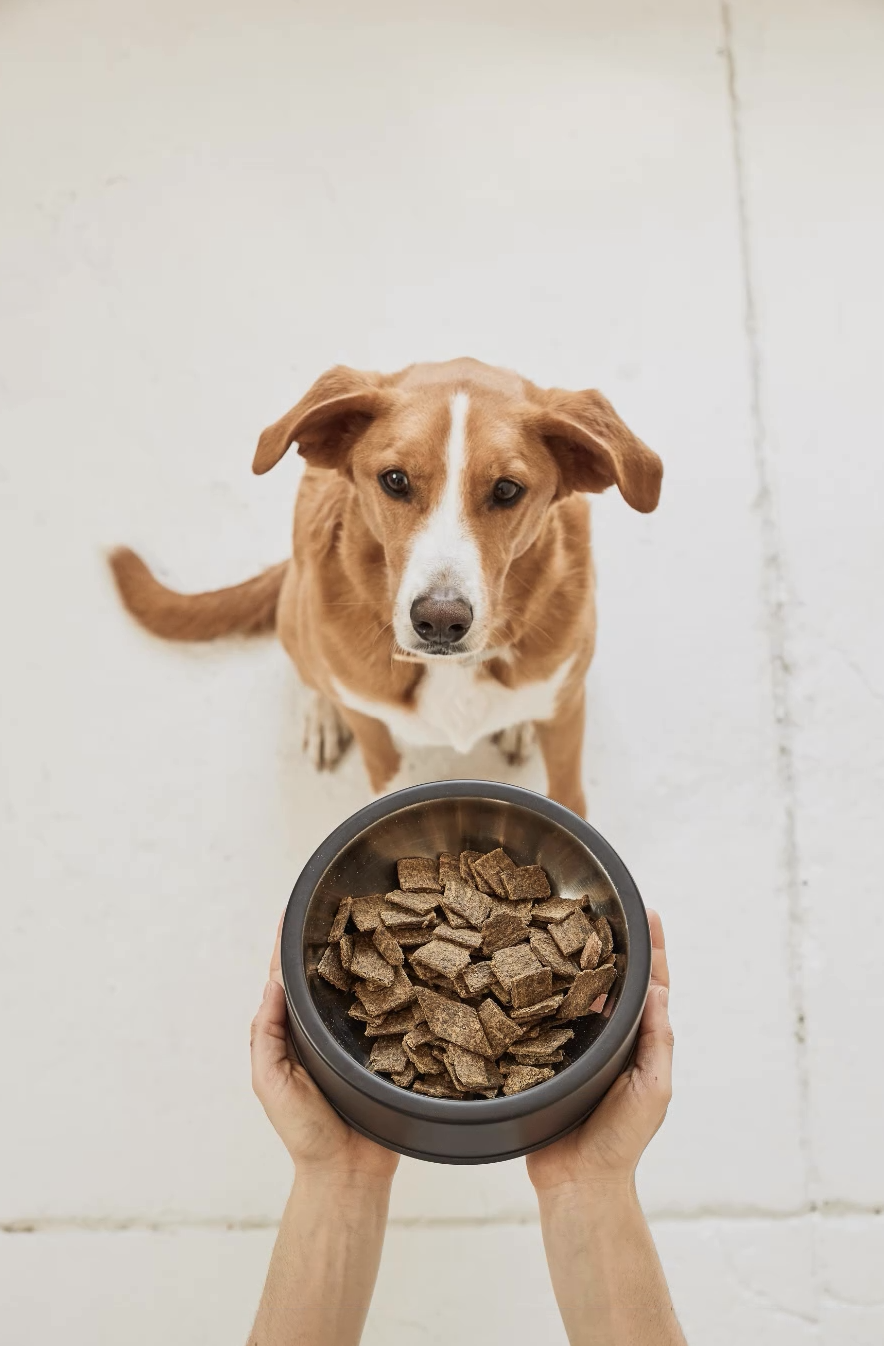 Sundays gallery image