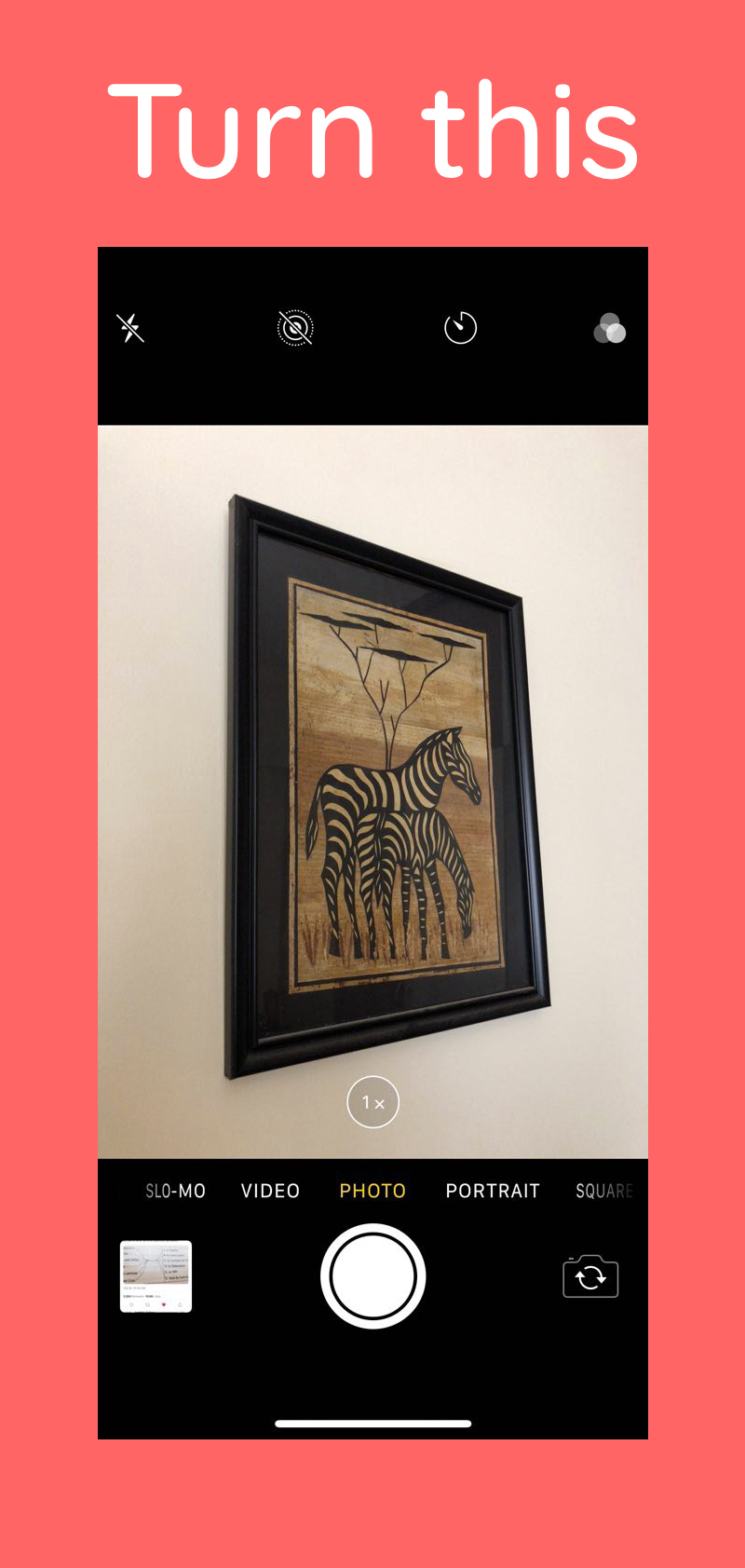 Flache gallery image