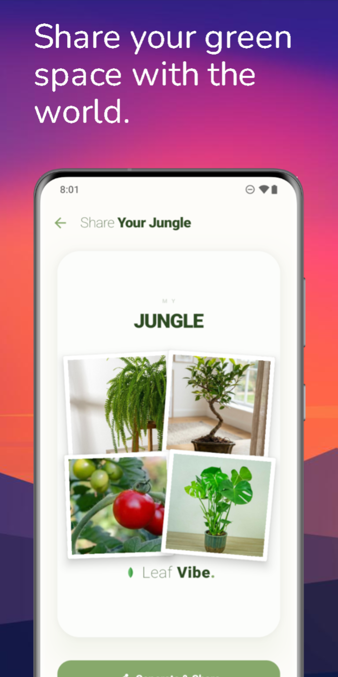 Leaf Vibe gallery image