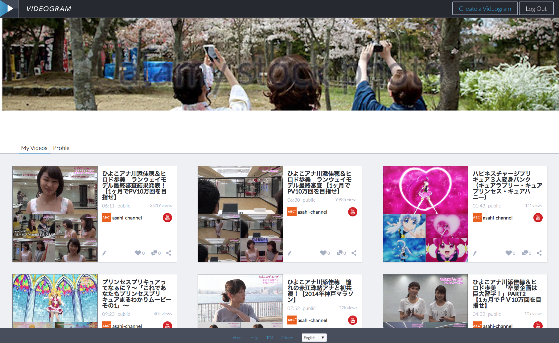 Videogram gallery image