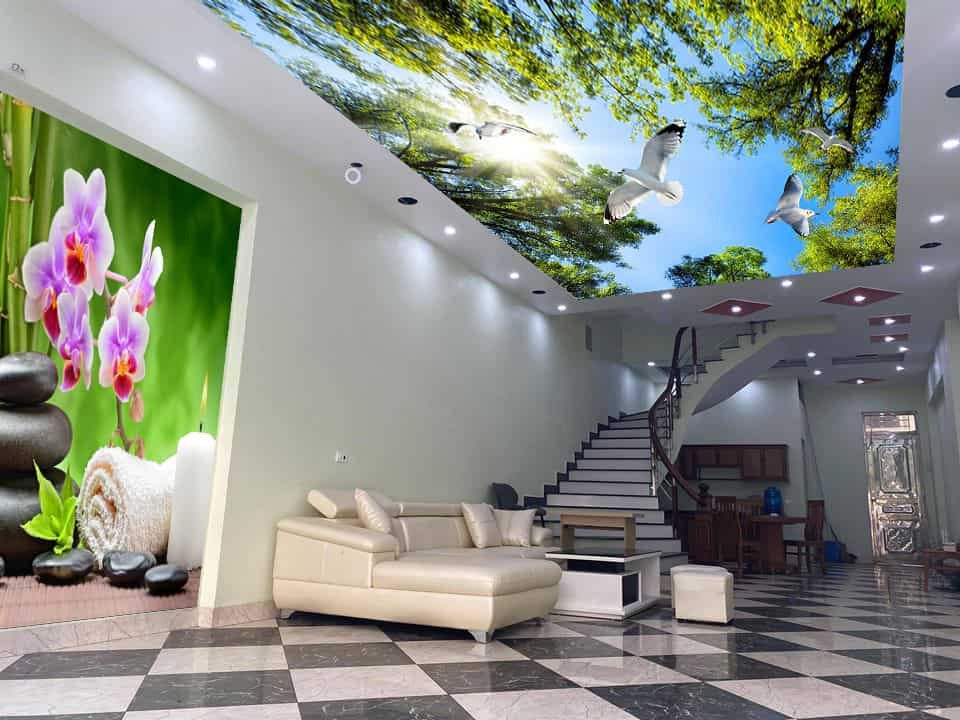 Dhome gallery image