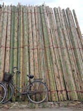 Nguyên Liệu Tre gallery image