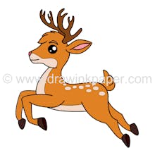 Draw Ink Paper gallery image