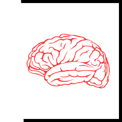 Second Brain 2.0 logo