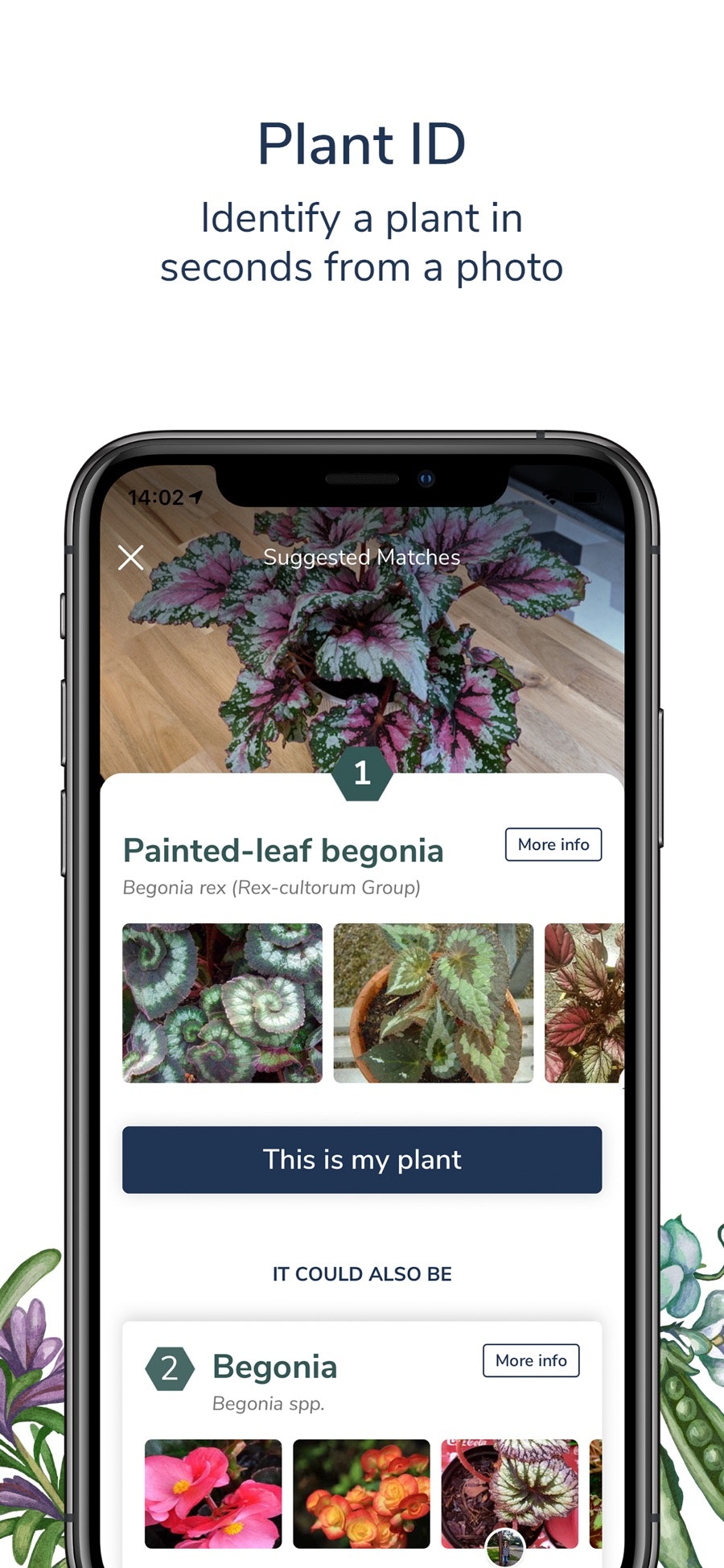 Candide gallery image