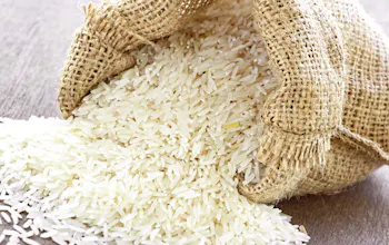 All kinds of Rice gallery image