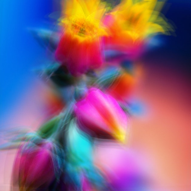 AniArt - Mix Multiple Live Photos, GIFs or Videos with stunning digital art effects faster and easier. gallery image