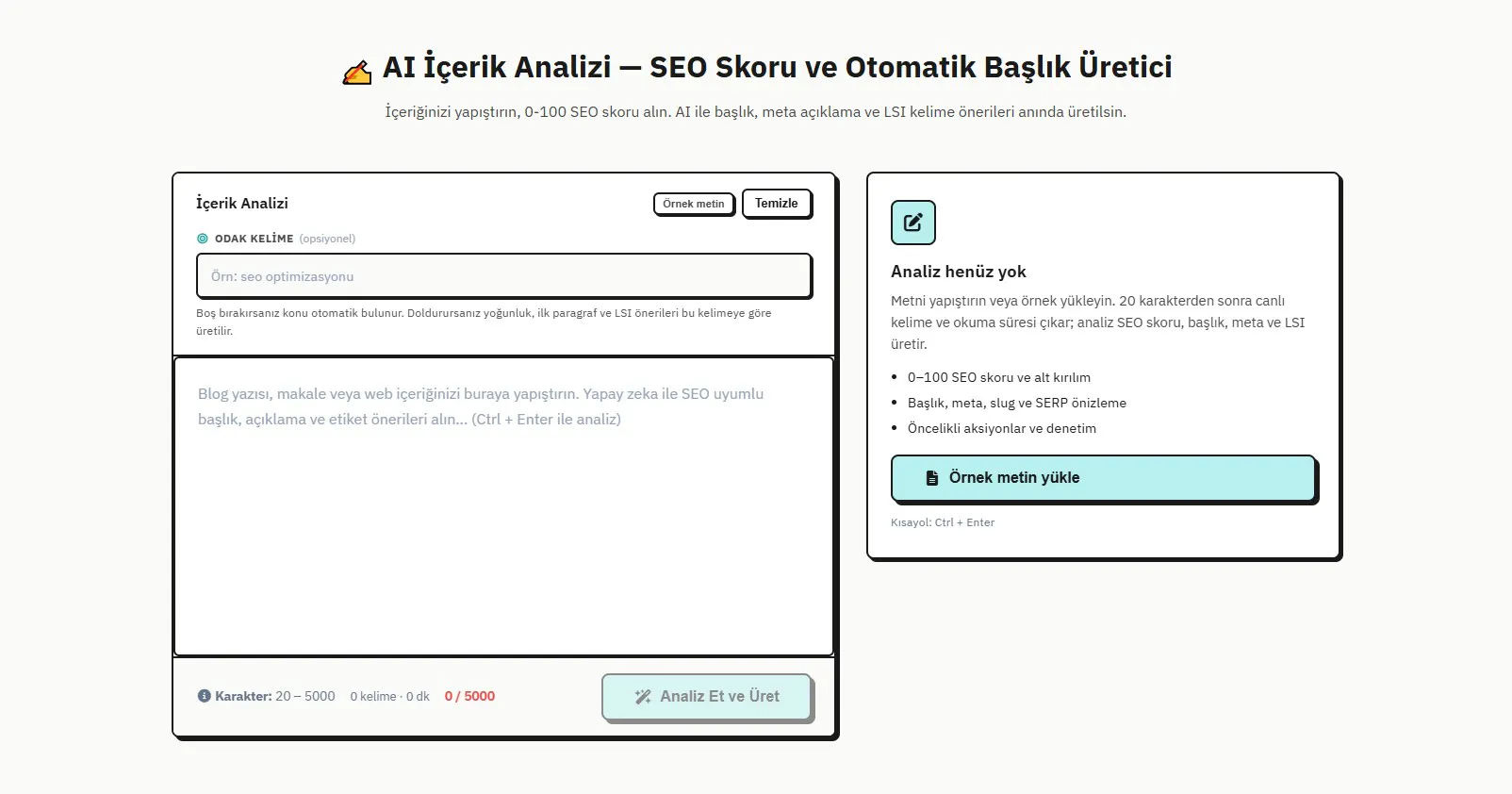SeoDenetim gallery image