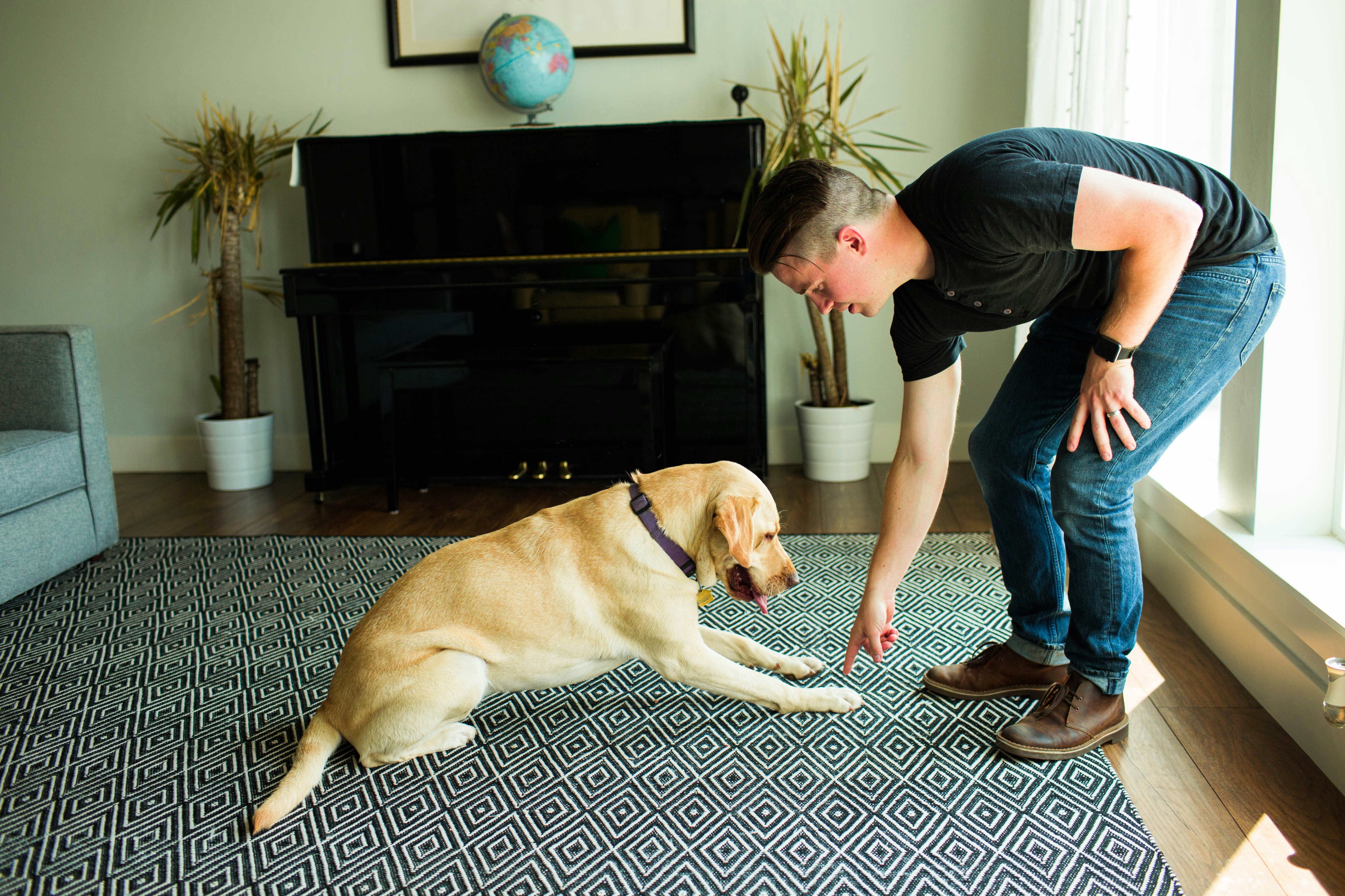 30 Day Perfect Pup with Zak George gallery image