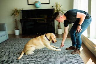 30 Day Perfect Pup with Zak George gallery image