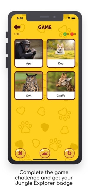 Bingoo Jungle Sounds gallery image