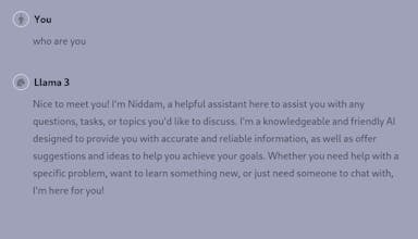 Niddam gallery image